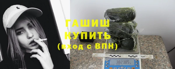 прущие грибы Абинск