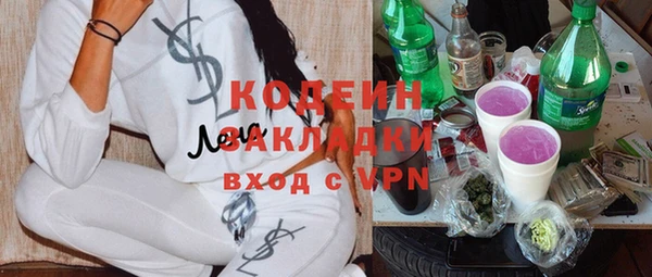прущие грибы Абинск