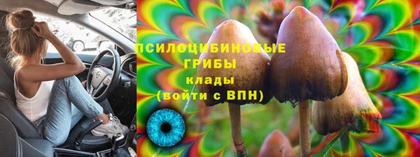 дурь Алексеевка