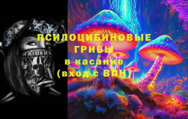ГАЛЛЮЦИНОГЕННЫЕ ГРИБЫ Алексин