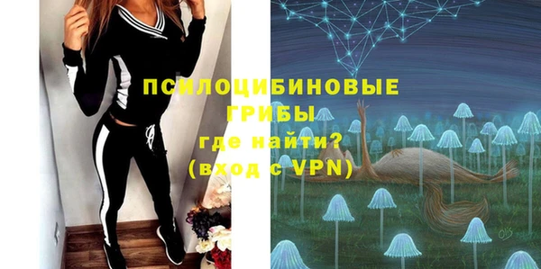 дурь Алексеевка