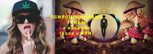 дурь Алексеевка