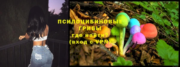 ГАЛЛЮЦИНОГЕННЫЕ ГРИБЫ Алексин