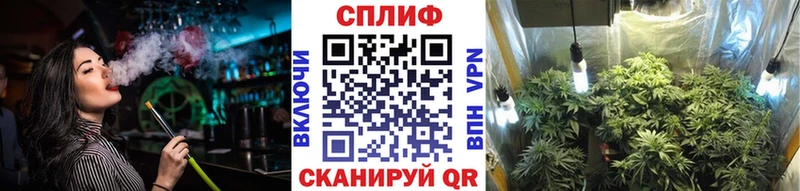 купить закладку  OMG tor  Бошки Шишки THC 21%  Западная Двина 